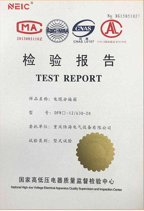 高壓檢驗報告